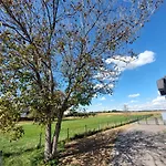 3 Jablane Apartmaji Beltinci